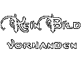 Silberwald: Der Ring des Schicksals